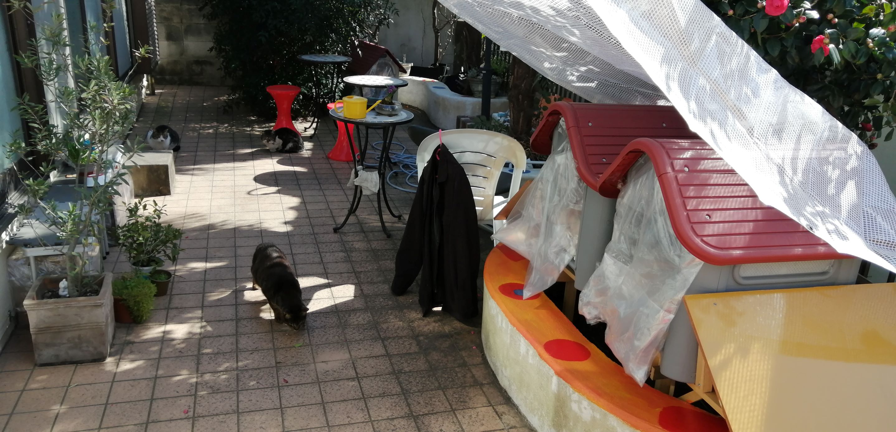 猫ハウス